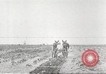 Image of Theodore Roosevelt Dam Phoenix Arizona USA, 1920, second 52 stock footage video 65675060952