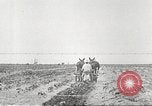 Image of Theodore Roosevelt Dam Phoenix Arizona USA, 1920, second 53 stock footage video 65675060952