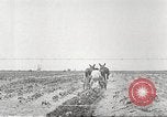 Image of Theodore Roosevelt Dam Phoenix Arizona USA, 1920, second 54 stock footage video 65675060952