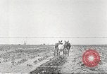 Image of Theodore Roosevelt Dam Phoenix Arizona USA, 1920, second 55 stock footage video 65675060952