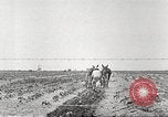 Image of Theodore Roosevelt Dam Phoenix Arizona USA, 1920, second 56 stock footage video 65675060952