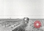 Image of Theodore Roosevelt Dam Phoenix Arizona USA, 1920, second 57 stock footage video 65675060952