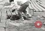 Image of Globe Arizona Apache Trail Phoenix Arizona USA, 1920, second 46 stock footage video 65675060953