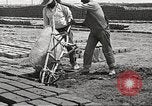 Image of Globe Arizona Apache Trail Phoenix Arizona USA, 1920, second 57 stock footage video 65675060953