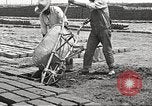 Image of Globe Arizona Apache Trail Phoenix Arizona USA, 1920, second 58 stock footage video 65675060953
