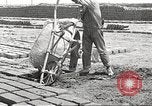 Image of Globe Arizona Apache Trail Phoenix Arizona USA, 1920, second 59 stock footage video 65675060953