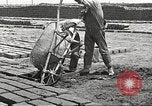 Image of Globe Arizona Apache Trail Phoenix Arizona USA, 1920, second 60 stock footage video 65675060953