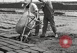 Image of Globe Arizona Apache Trail Phoenix Arizona USA, 1920, second 62 stock footage video 65675060953
