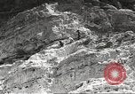 Standbild Saguaro Kaktus Phoenix Arizona USA, 1920, aus Sekunde 20 historischem Filmmaterial Videoclip 65675060954
