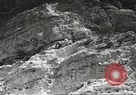 Standbild Saguaro Kaktus Phoenix Arizona USA, 1920, aus Sekunde 24 historischem Filmmaterial Videoclip 65675060954