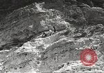 Standbild Saguaro Kaktus Phoenix Arizona USA, 1920, aus Sekunde 25 historischem Filmmaterial Videoclip 65675060954