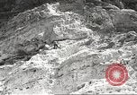 Standbild Saguaro Kaktus Phoenix Arizona USA, 1920, aus Sekunde 37 historischem Filmmaterial Videoclip 65675060954