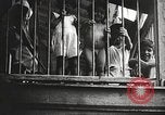 Standbild Rathaus Panama, 1919, aus Sekunde 18 historischem Filmmaterial Videoclip 65675060960