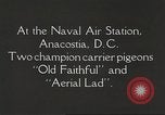 Image of carrier pigeons Washington DC USA, 1923, second 3 stock footage video 65675060986