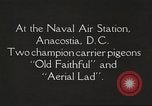 Image of carrier pigeons Washington DC USA, 1923, second 4 stock footage video 65675060986