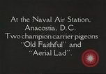 Image of carrier pigeons Washington DC USA, 1923, second 5 stock footage video 65675060986