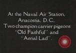Image of carrier pigeons Washington DC USA, 1923, second 7 stock footage video 65675060986