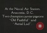 Image of carrier pigeons Washington DC USA, 1923, second 9 stock footage video 65675060986