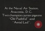 Image of carrier pigeons Washington DC USA, 1923, second 10 stock footage video 65675060986
