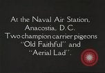 Image of carrier pigeons Washington DC USA, 1923, second 12 stock footage video 65675060986