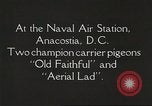 Image of carrier pigeons Washington DC USA, 1923, second 14 stock footage video 65675060986
