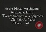 Image of carrier pigeons Washington DC USA, 1923, second 15 stock footage video 65675060986