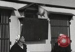 Image of carrier pigeons Washington DC USA, 1923, second 24 stock footage video 65675060986