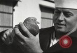 Image of carrier pigeons Washington DC USA, 1923, second 51 stock footage video 65675060986