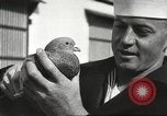 Image of carrier pigeons Washington DC USA, 1923, second 52 stock footage video 65675060986