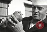 Image of carrier pigeons Washington DC USA, 1923, second 53 stock footage video 65675060986