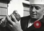 Image of carrier pigeons Washington DC USA, 1923, second 54 stock footage video 65675060986
