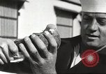 Image of carrier pigeons Washington DC USA, 1923, second 58 stock footage video 65675060986