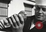 Image of carrier pigeons Washington DC USA, 1923, second 59 stock footage video 65675060986