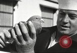 Image of carrier pigeons Washington DC USA, 1923, second 60 stock footage video 65675060986