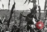 Image of Japanese troops China, 1939, second 30 stock footage video 65675060995