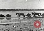 Image of Japanese troops China, 1939, second 53 stock footage video 65675060995