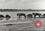 Image of Japanese troops China, 1939, second 54 stock footage video 65675060995