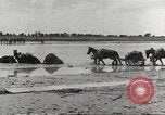 Image of Japanese troops China, 1939, second 55 stock footage video 65675060995