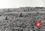 Image of Japanese troops China, 1939, second 62 stock footage video 65675060995