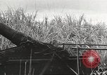 Image of Japanese troops China, 1939, second 44 stock footage video 65675060997