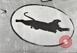 Image of P-36 Hawk aircraft of 8th Pursuit Group  Virginia USA, 1939, second 32 stock footage video 65675060998
