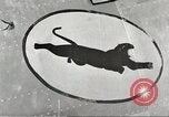 Image of P-36 Hawk aircraft of 8th Pursuit Group  Virginia USA, 1939, second 33 stock footage video 65675060998