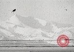 Immagine di I pescatori giapponesi La Russia, 1934, secondo 36 filmato di repertorio 65675061002
