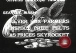 Image of black foxes Seattle Washington USA, 1934, second 1 stock footage video 65675061007