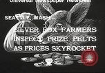 Image of black foxes Seattle Washington USA, 1934, second 6 stock footage video 65675061007