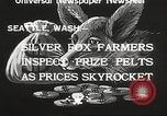 Image of black foxes Seattle Washington USA, 1934, second 8 stock footage video 65675061007