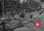 Image of black foxes Seattle Washington USA, 1934, second 27 stock footage video 65675061007