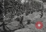 Image of black foxes Seattle Washington USA, 1934, second 28 stock footage video 65675061007