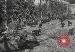 Image of black foxes Seattle Washington USA, 1934, second 29 stock footage video 65675061007