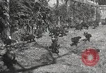 Image of black foxes Seattle Washington USA, 1934, second 30 stock footage video 65675061007